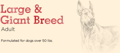 Large & Giant Breed Adult